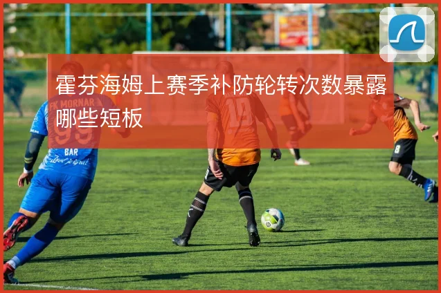 霍芬海姆上赛季补防轮转次数暴露哪些短板